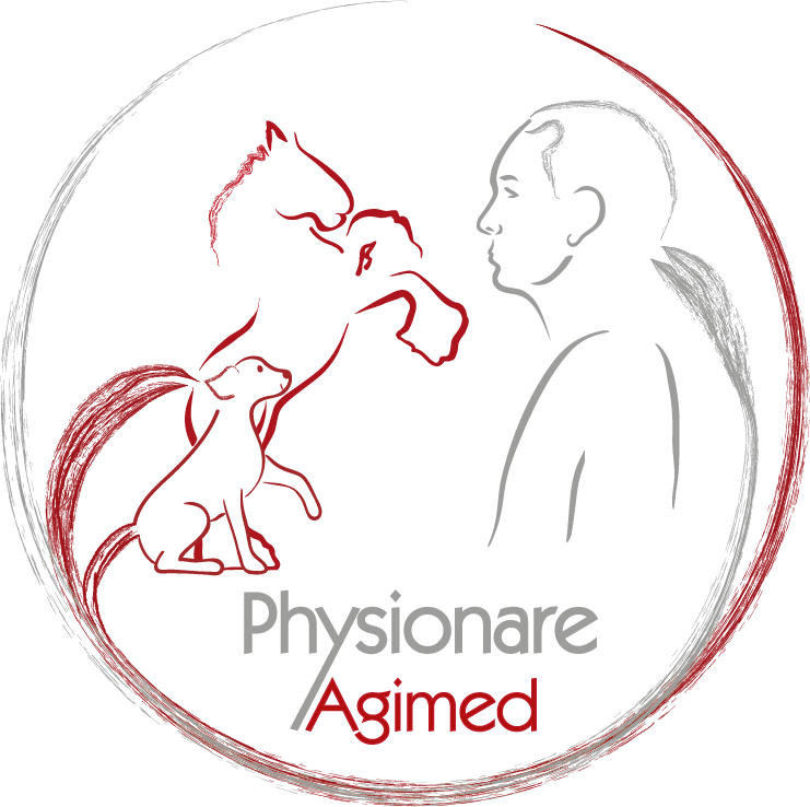 Agimed - Tierphysiotherapie, Chiropraktik, Osteopathie, Hundetraining, Systemisches Coaching und Weiterbildung.