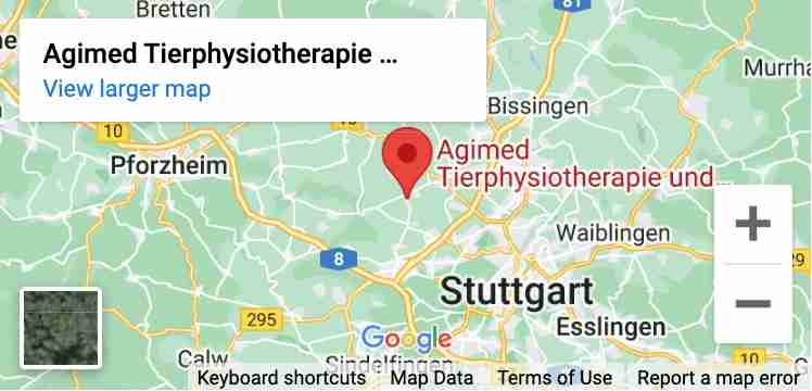 Agimed Corinne Keller Systemare Agimed Heimerdinger Strasse 16 71282 Hemmingen